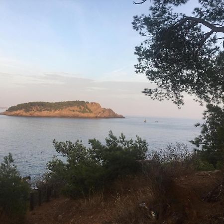 Fanny Wifi Climatise Tout A Pieds 4 Personnes La Ciotat Esterno foto